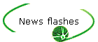News flashes